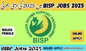 BISP Jobs in Pakistan 2025