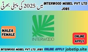 Interwood Mobel Pvt Ltd Jobs