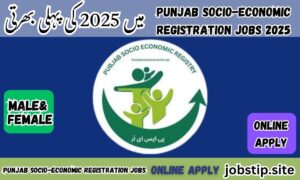 Punjab Socio-Economic Registration Jobs in Pakistan 2025