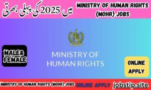Ministry of Human Rights (MOHR) Jobs in Pakistan 2025