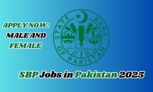 Best SBP Jobs in Pakistan 2025 | Apply for SBP Vacancies