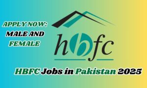 Best HBFC Jobs in Pakistan 2025: Exciting Career Opportunities in Housing Finance