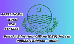 "District Education Officer (DEO) Jobs in Punjab, Pakistan - 2025 | Apply Now for Exciting Career Opportunities"