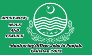 “Top Monitoring Officer Jobs in Punjab, Pakistan 2025 – Apply Now for Exciting Opportunities!”