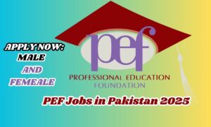 “Top PEF Jobs in Pakistan 2025: Best Career Opportunities in Education and Public Sector”