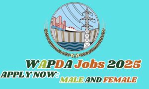 WAPDA Jobs 2025 – Latest Vacancies, Eligibility & Application Guide