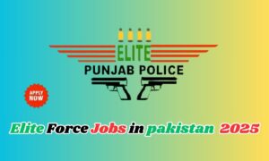 Elite Force Jobs in pakistan 2025