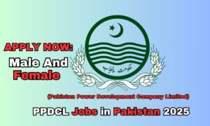 "Exciting PPDCL Jobs in Pakistan 2025: Apply Now for Government Job Opportunities"