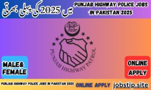 Punjab Highway Police Jobs in Pakistan 2025
