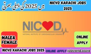 NICVD Karachi Jobs 2025