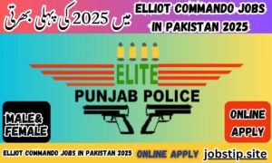 Elite Commando Jobs in Pakistan 2025