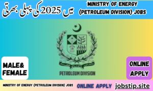 Ministry of Energy (Petroleum Division) Jobs 2025