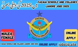Fazaia Schools and Colleges Lahore Jobs 2025