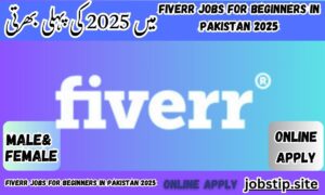 Fiverr Jobs for Beginners in Pakistan 2025