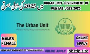 Urban Unit Government of Punjab Jobs 2025