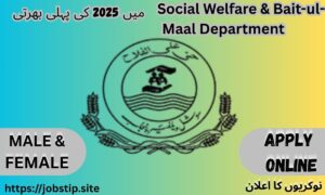 "Exciting Opportunity: Apply Now for BS-17 Planning Officer Role at Punjab Social Welfare & Bait-ul-Maal Department – 2025"