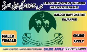 Baloch Navi District Rajanpur Jobs in Pakistan 2025