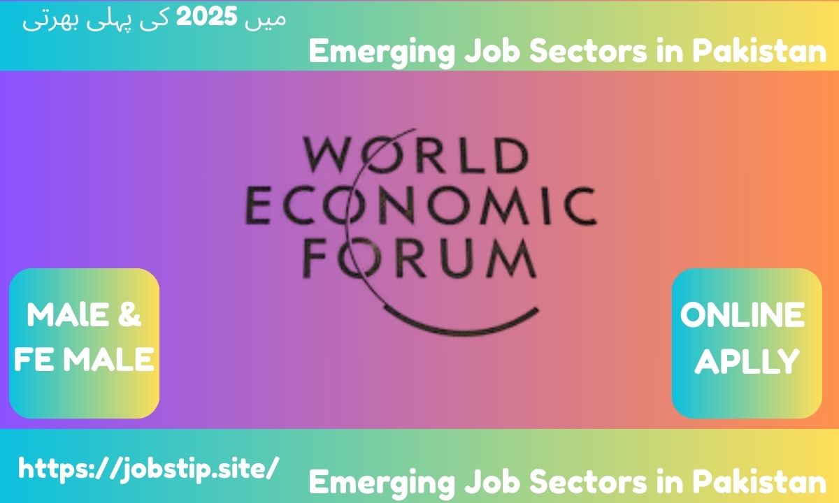 Top Emerging Job Sectors in Pakistan (2025–2030): Unlock Your Future Career