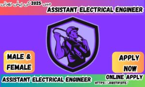 Assistant Electrical Engineer Jobs in Pakistan – 2025: Opportunities, Eligibility & Application Guide