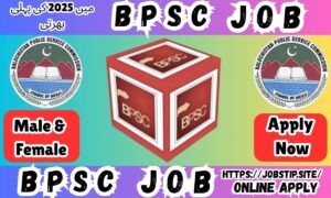 “BPSC Jobs 2025 – Apply Online for 900+ Vacancies in Balochistan Public Service Commission | Latest Govt Jobs in Pakistan”