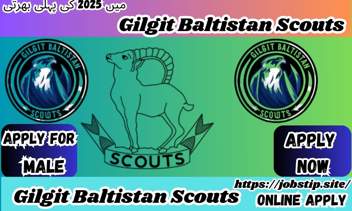Gilgit Baltistan Scouts Jobs 2025: Apply for 433+ Vacancies in Batch 16 – Complete Guide