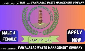 "Faisalabad Waste Management Company Jobs 2025 – Apply Online for FWMC Latest Vacancies in Pakistan"