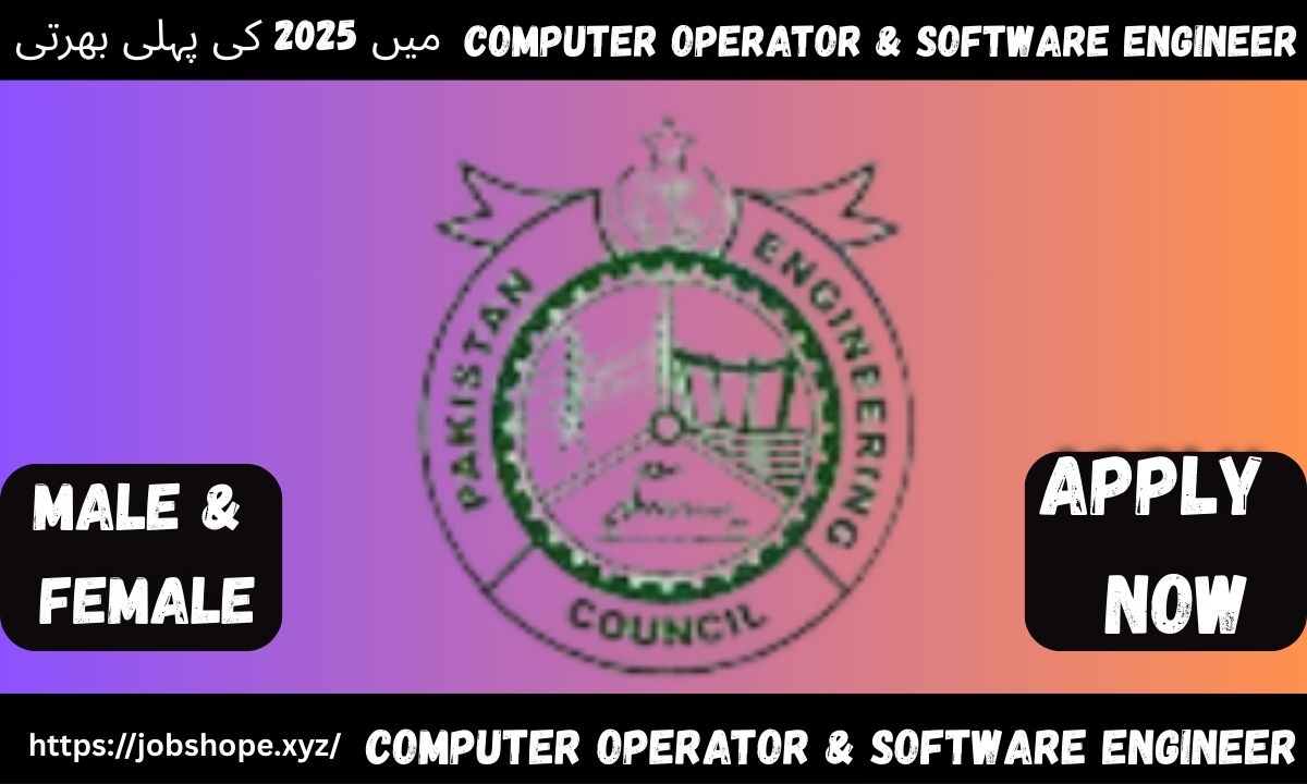 "Top Computer Operator & Software Engineer Jobs in Pakistan (2025): High-Paying Careers in IT"