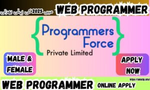 Top Web Programmer Jobs in Pakistan 2025: Your Ultimate Guide to Lucrative Opportunities
