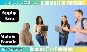 Remote IT Jobs in Pakistan (2025)