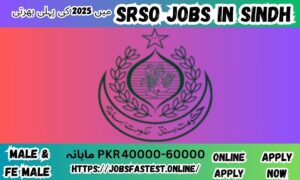 SRSO Jobs in Sindh 2025 | Apply Online for Latest Career Opportunities